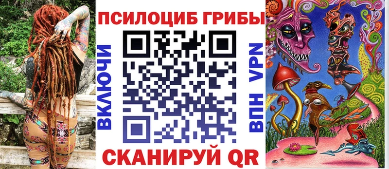 нарко площадка наркотические препараты  Борзя  Галлюциногенные грибы Cubensis 