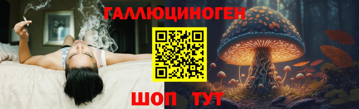 Борзя  Псилоцибиновые грибы GOLDEN TEACHER  Псилоцибиновые грибы GOLDEN TEACHER  Вход с VPN 